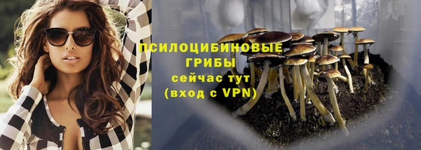 прущая мука Абаза