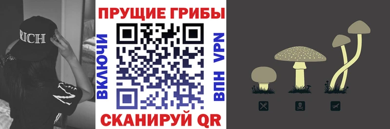Галлюциногенные грибы MAGIC MUSHROOMS  Лебедянь 